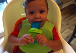 Summer Infant Bibbity Bib Review